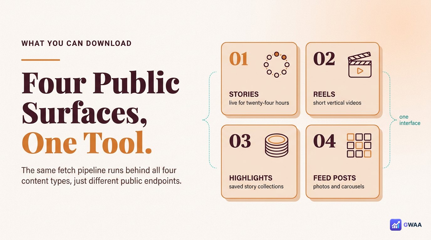 Four Instagram content types PeekViewer downloads - stories posts reels highlights