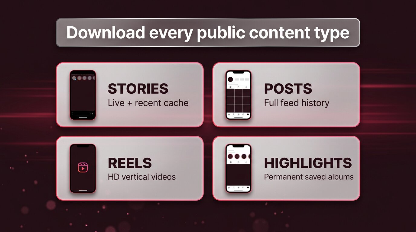 Four Instagram content types PeekViewer downloads - stories posts reels highlights