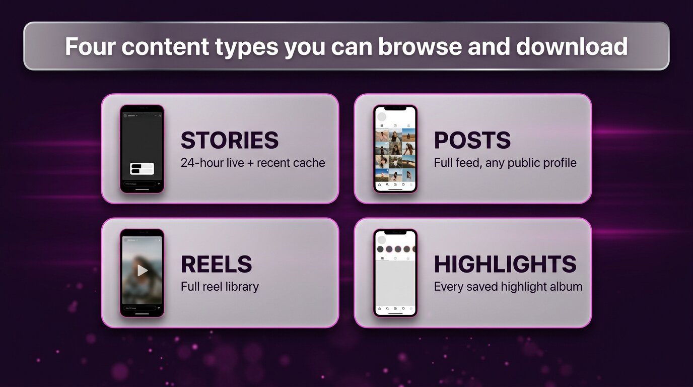 Four Instagram content types PeekViewer covers - stories, posts, reels, highlights