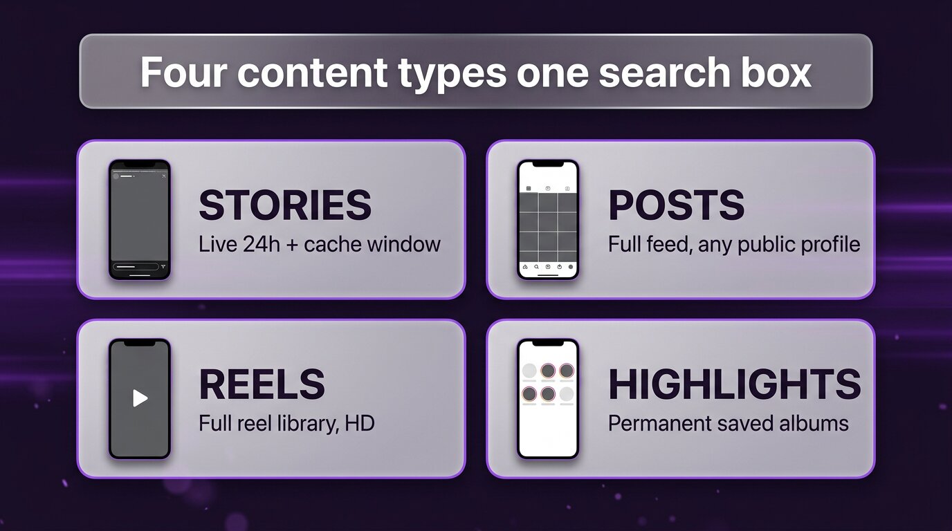 Four Instagram content types PeekViewer covers - stories posts reels highlights