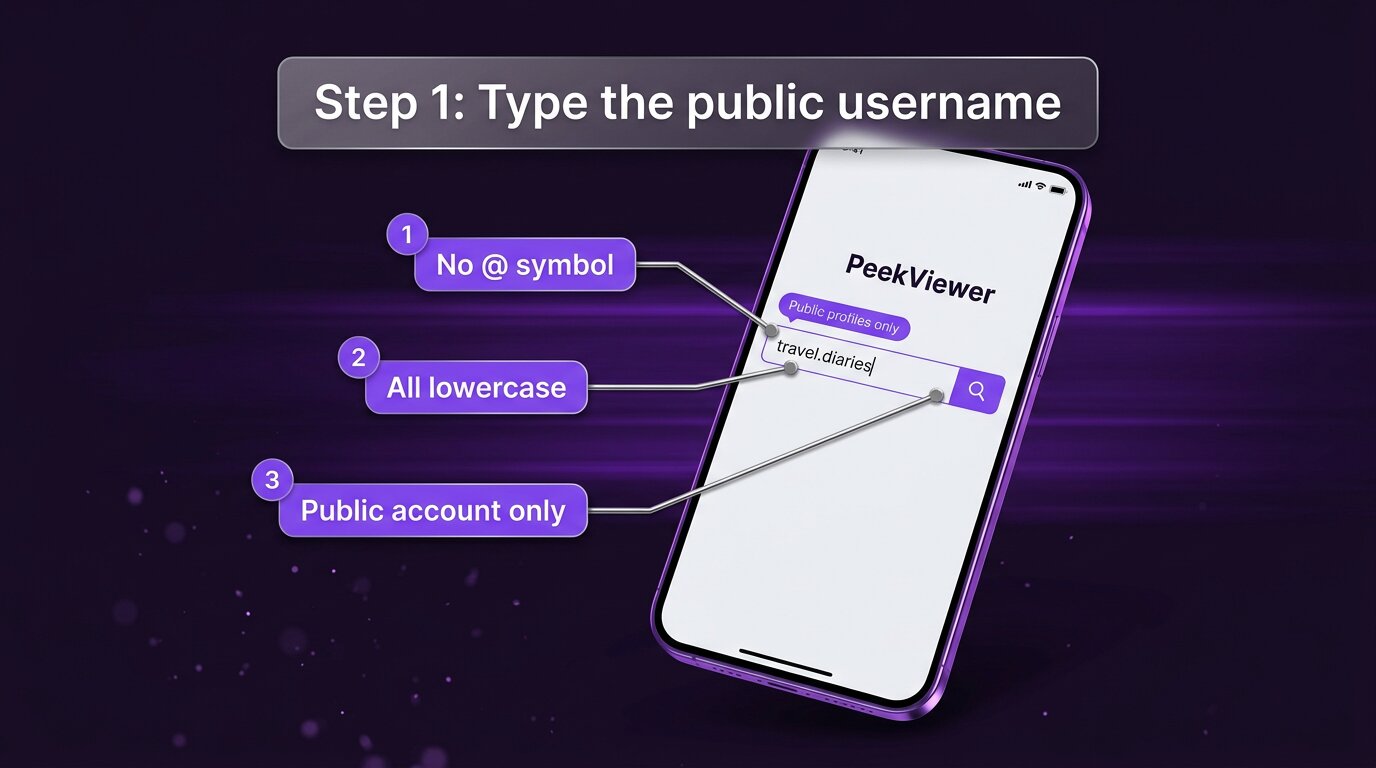 PeekViewer step 1 - type a public Instagram username