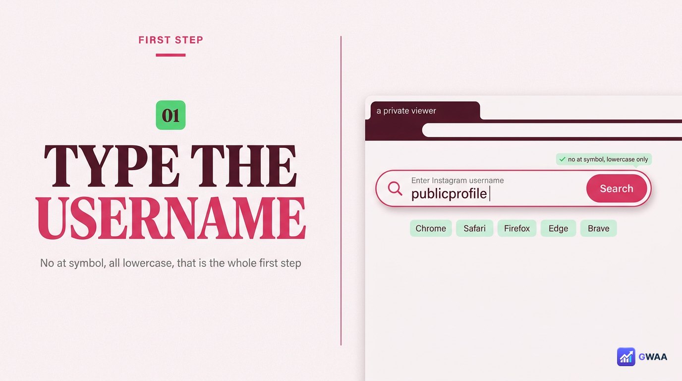 PeekViewer step 1 - type a public Instagram username