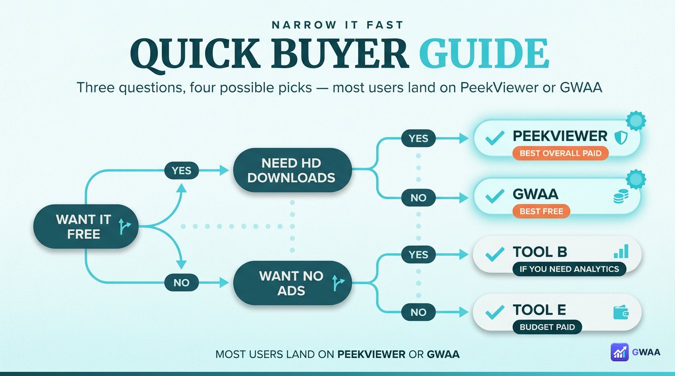 Quick buyer guide flowchart - pick the right viewer in 30 seconds